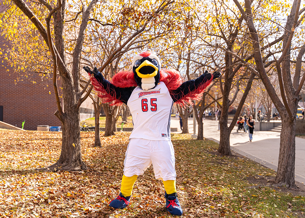 Rowdy joyfully tosses leaves in the air on a fall day on the Auraria Campus.