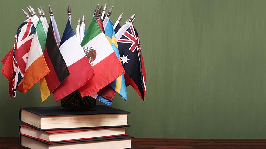 World flags on a pile of books in front of a green chalkboard