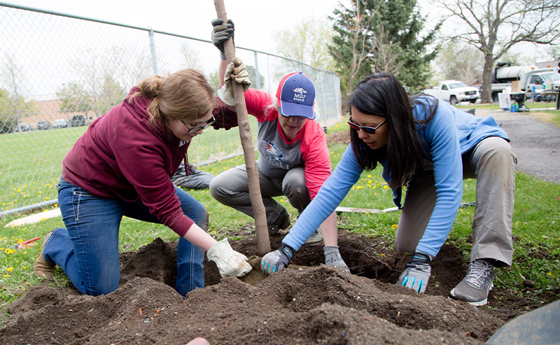 Three people planting a tree for Roadrunners give back week.