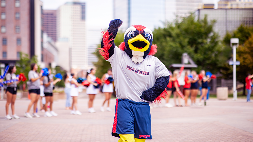MSU Denver’s Rowdy mascot raises a fist and poses in front of cheerleaders during a campus spirit event in downtown Denver.