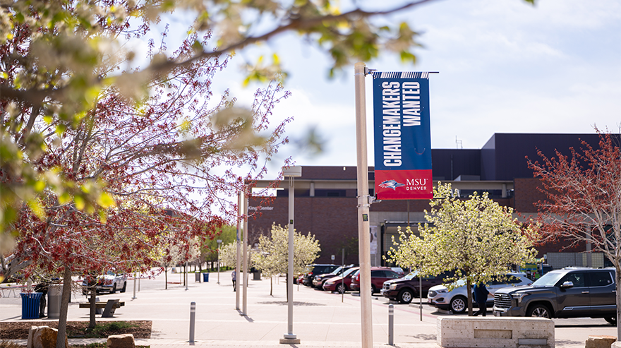 Campus walkway lined with trees and parked cars featuring an MSU Denver banner near academic buildings on a sunny day.