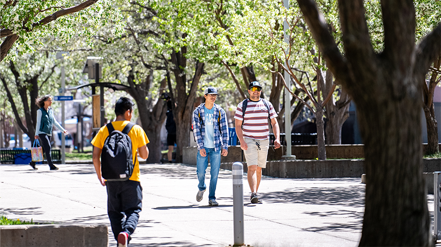 People walking on a sidewalk under blooming trees on the Auraria campus