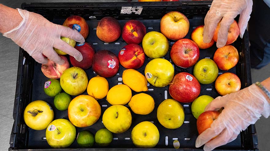 Hands grab apples